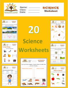 Rich Results on Google's SERP when searching for 'Science different worksheets