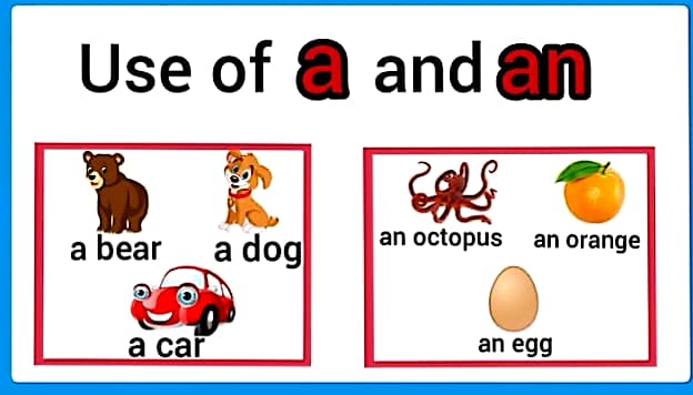 Use of A and An